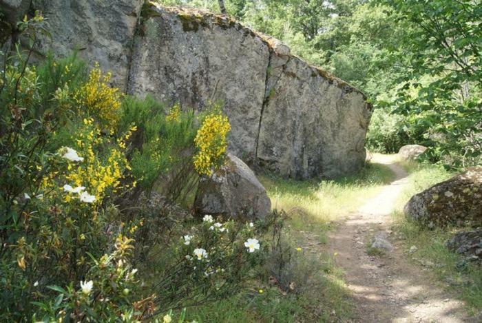 Casa Rural Cabeza Lobera Villanueva de Avila Екстер'єр фото